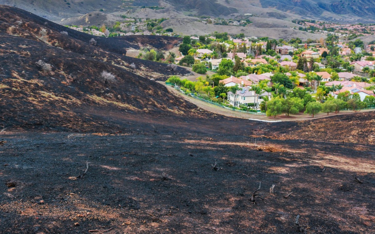 A burned hillside with houses in the background, prompting concerns about fire safety and the need for home hardening inspections.