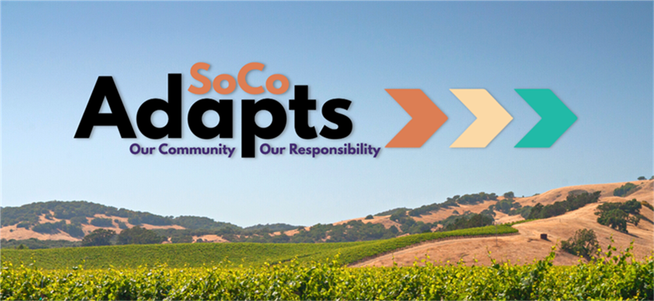 Sogo incorporates FHDS report to enhance fire safety inspection in home hardening measures near a vineyard.